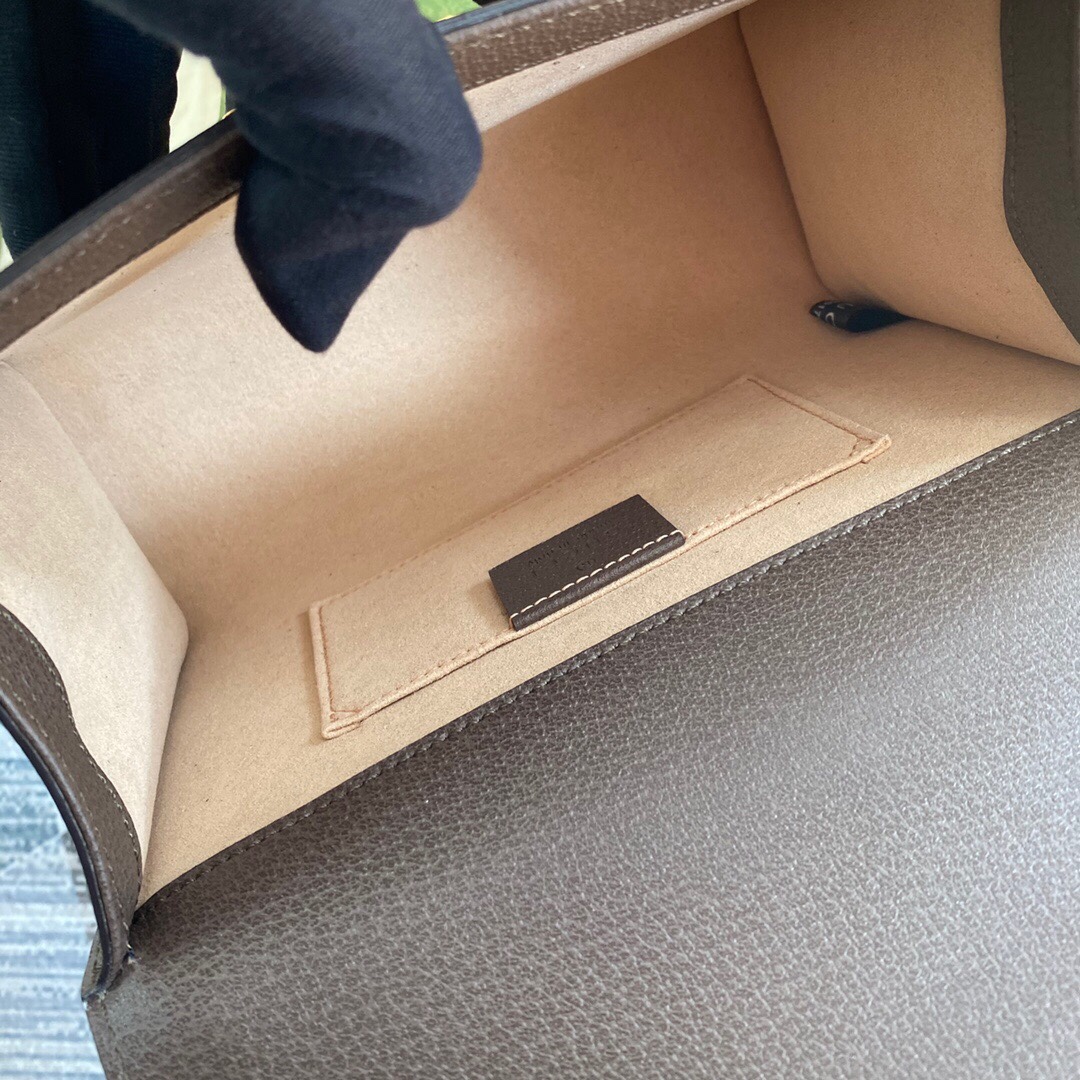 G*ucci Bag Top Quality 20*13*8cm