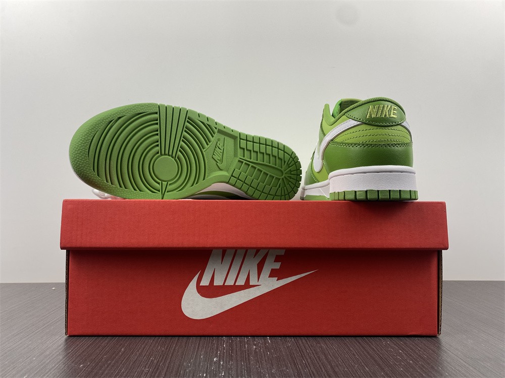 from NIKE DUNK LOW DJ6188-300