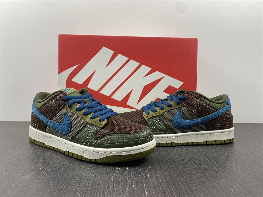 from Nike SB Dunk Low DR0159-200