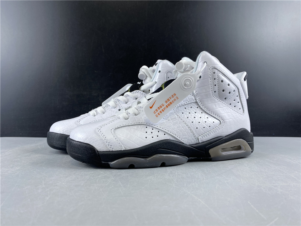 Air Jordan 6 GS 384665-110