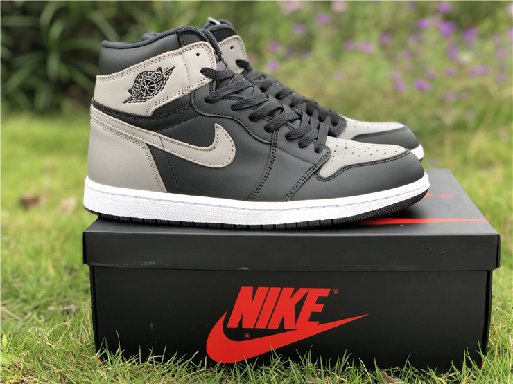 Air Jordan 1 “Shadow”
