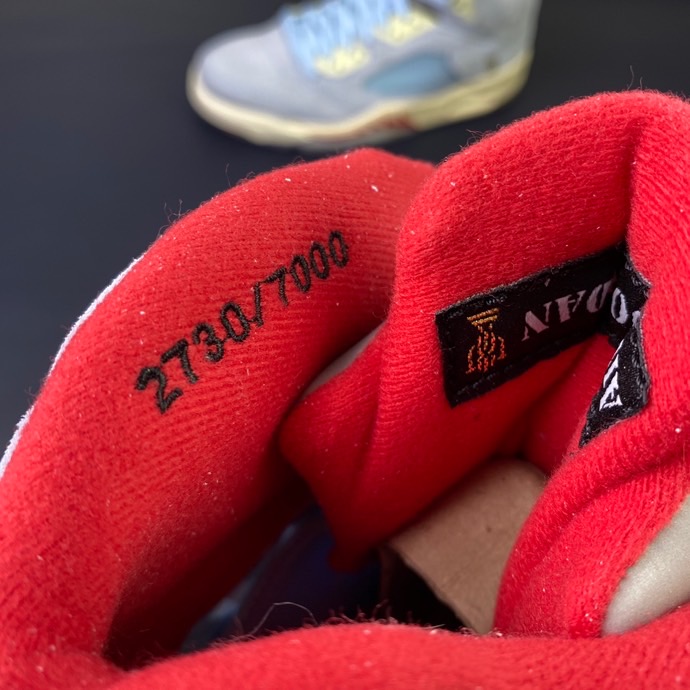 Trophy Room x Air Jordan 5 Ice Blue CI1899-400