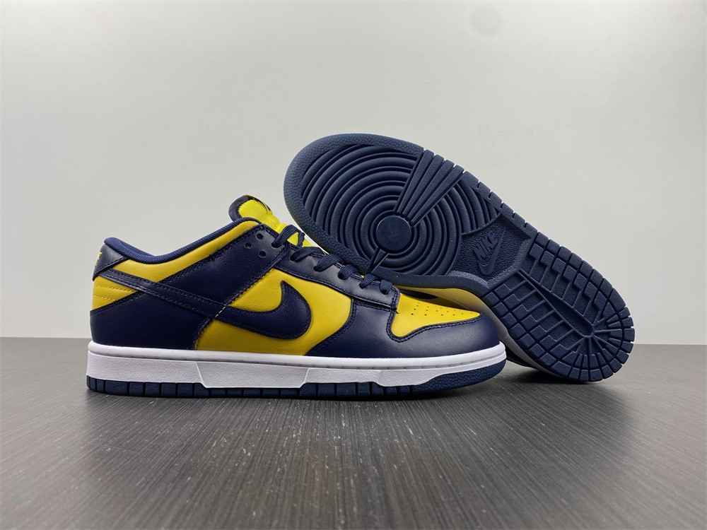 from Nike SB Dunk Low Michigan DD1391-700