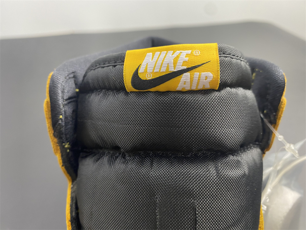 Air Jordan 1 High OG Pollen 555088-701