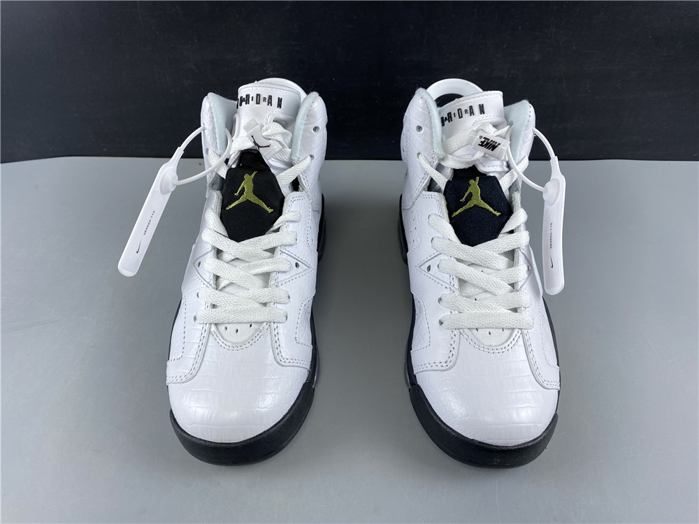 Air Jordan 6 GS 384665-110