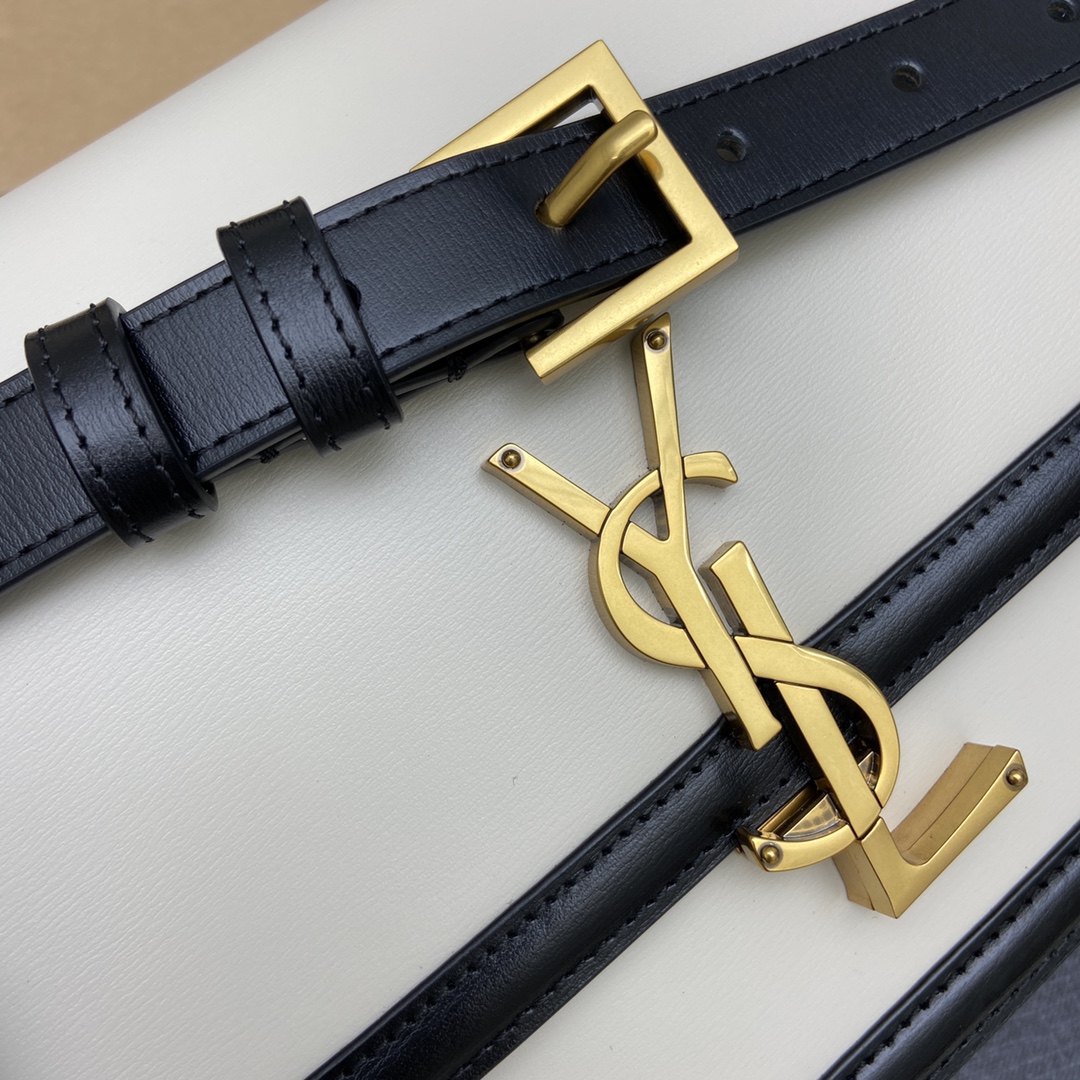 Y*SL Bag Top Quality