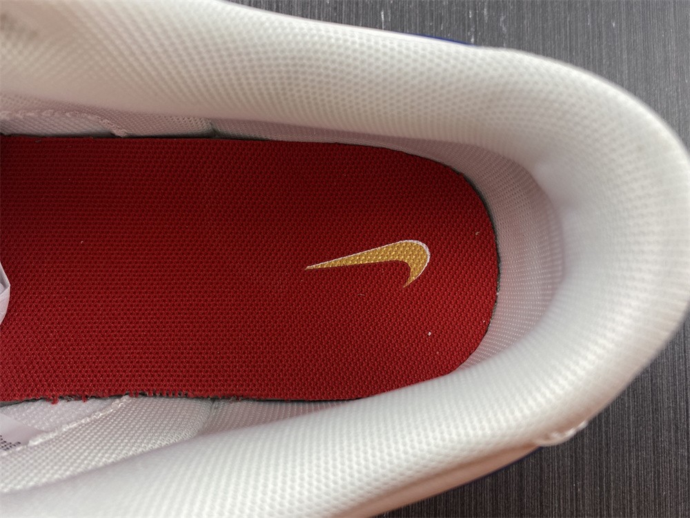 from Dunk Low Retro DX3198-13