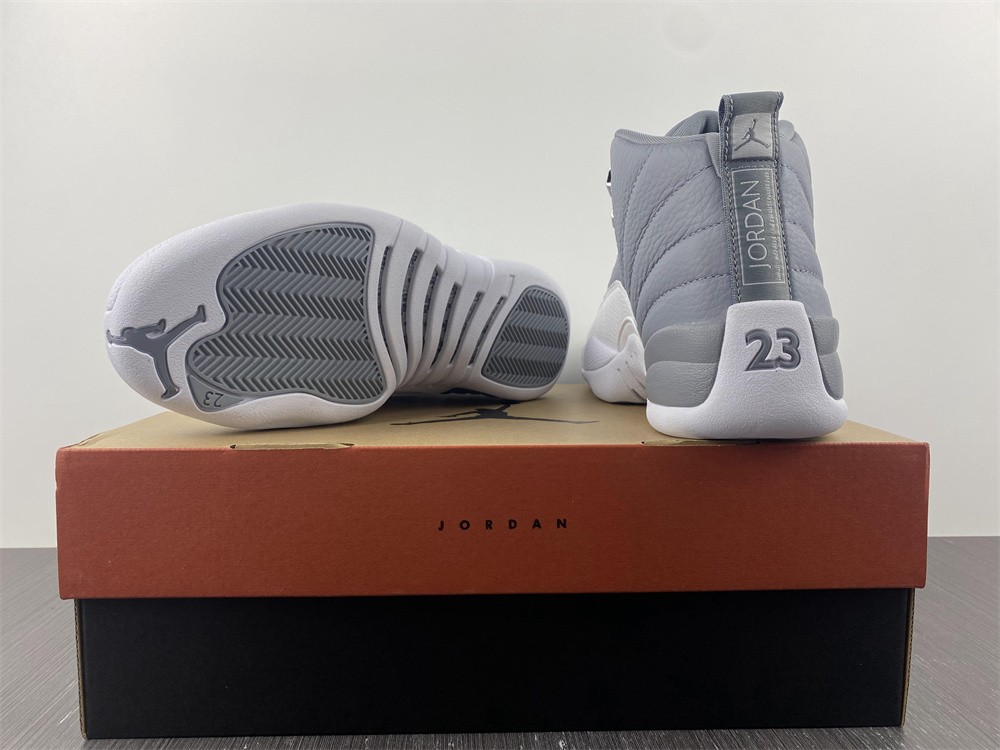 Air Jordan 12 STEALTH CT8013-015