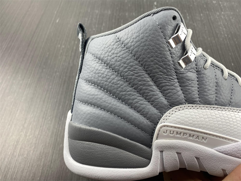 Air Jordan 12 STEALTH CT8013-015