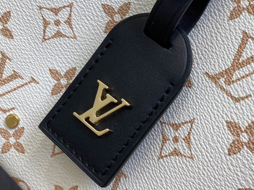 L*ouis V*uitton Top Bag